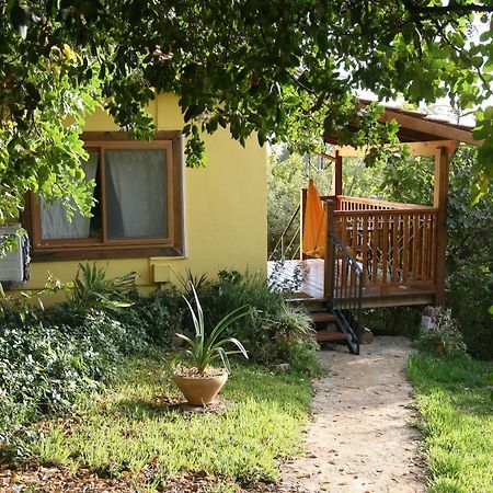 Zimmers At The Forest Amirim Exterior photo