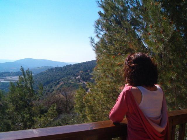 Zimmers At The Forest Amirim Room photo