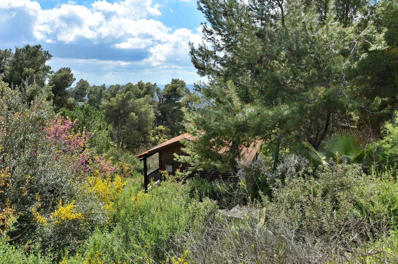 Zimmers At The Forest Amirim Exterior photo